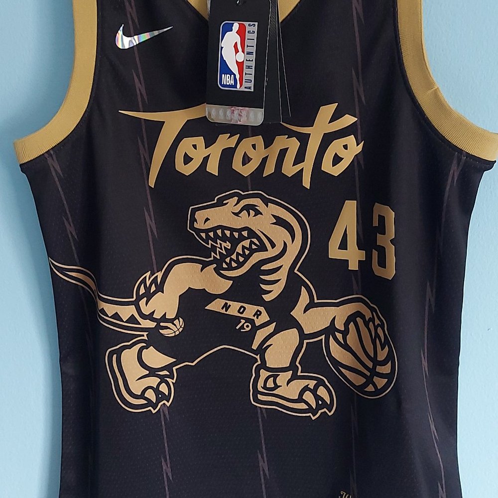 Youth small Toronto Raptors jersey